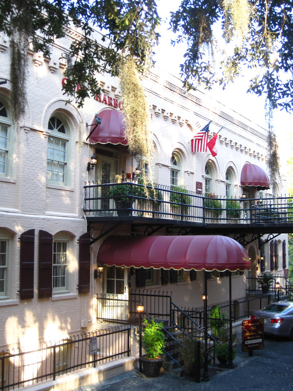 architecture of hotels with hanging spanish moss on river street in savannah georgia